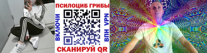 Псилоцибиновые грибы Psilocybe  Безенчук 